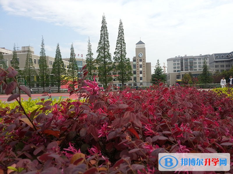 平壩縣集圣中學招生辦聯系電話