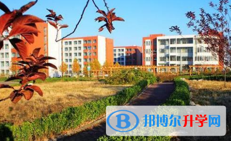 深圳曦城協同國際學校怎么樣、好不好