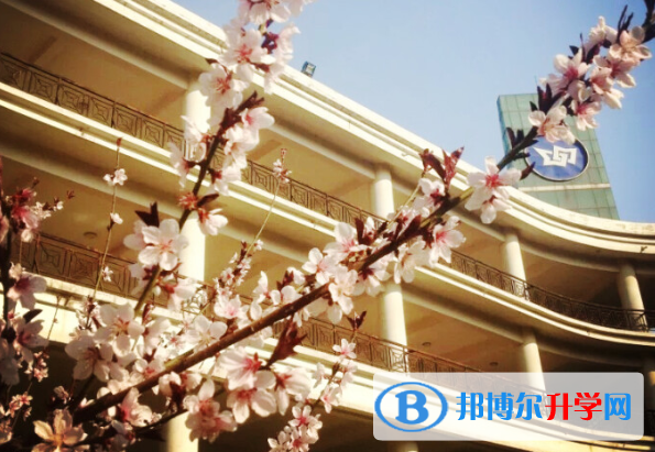 山西實驗中學國際部網站網址 