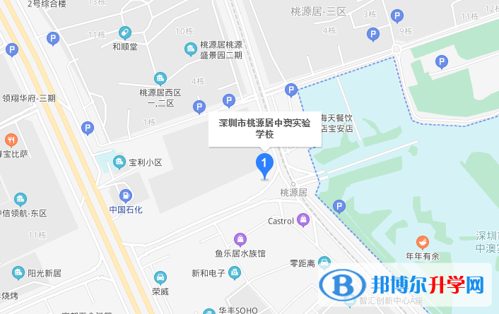 深圳桃源居中澳實驗學校地址在哪里