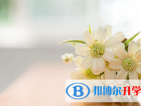 2021年寶雞中考服務應用平臺