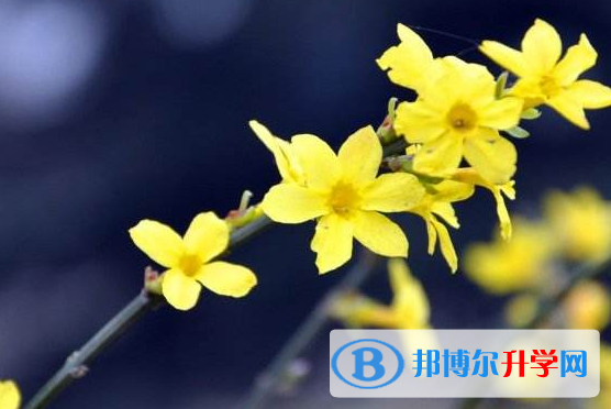 2021年寶雞中考注意事項和技巧