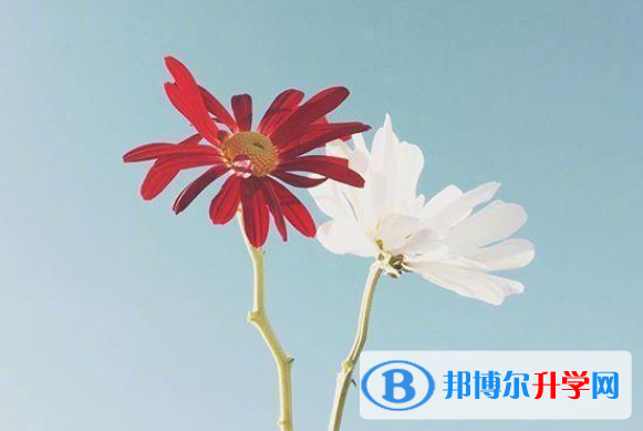 2020年綿陽中考指南