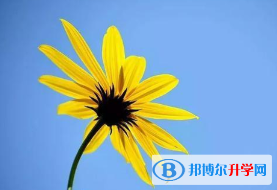 2020年樂山中考成績怎么算