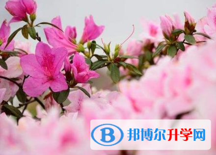 2021年秦皇島中考網(wǎng)上報(bào)名系統(tǒng)