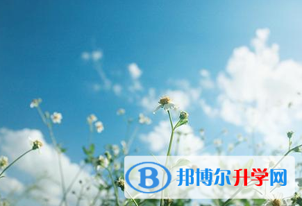 秦皇島2021年中考怎么填志愿才可以上到好的學校