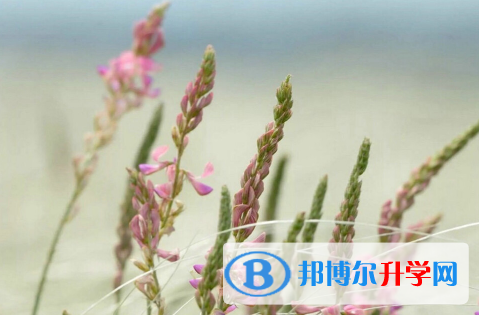 秦皇島2021年中考報(bào)志愿時(shí)間