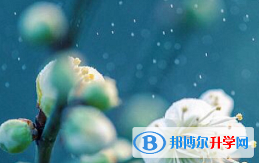 承德2021年中考填志愿的網(wǎng)站