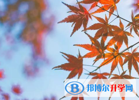 承德2021年中考志愿怎么填報(bào)