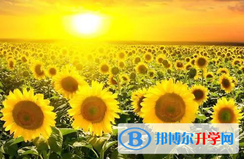 成都2021年中考志愿填報(bào)網(wǎng)址