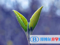 攀枝花2021年中考查詢網(wǎng)