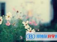 攀枝花2021年中考志愿怎么填