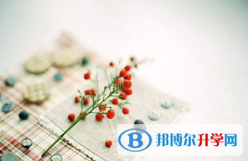瀘州2021年中考應對策略