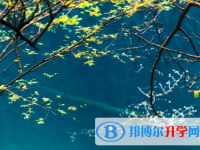 瀘州2021年孩子中考沒考好如何安慰
