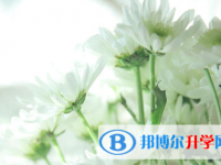 德陽2021年中考服務應用平臺