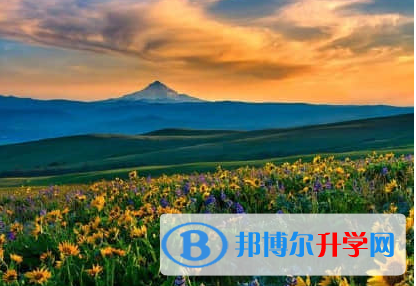 德陽2021年中考回老家讀行嗎