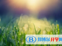 綿陽(yáng)2021年教育網(wǎng)中考查詢