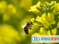 綿陽2021年中考報名網(wǎng)