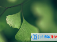 綿陽(yáng)2021年中考查詢