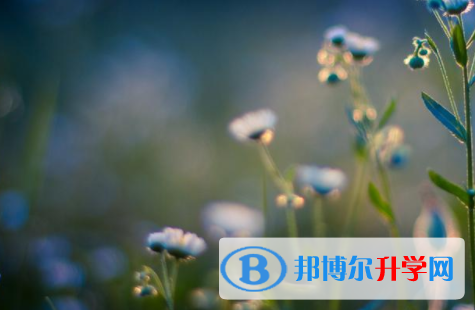 綿陽(yáng)2022年中考怎么填志愿才可以上到好的學(xué)校