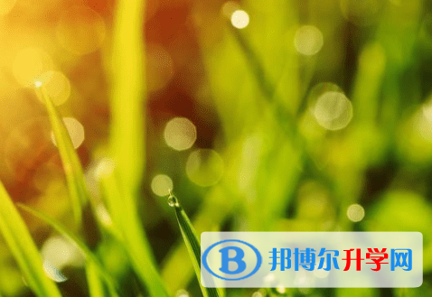 內江2022年如何查詢中考錄取結果