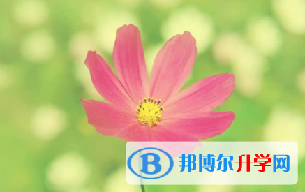 內(nèi)江2022年中考網(wǎng)上報(bào)名系統(tǒng)