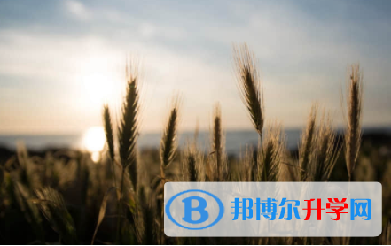 南充2022年中考志愿怎么填報(bào)