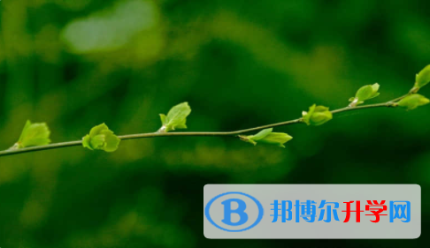 眉山2022年中考錄取結果