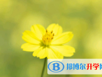 眉山2022年中考網(wǎng)絡(luò)應(yīng)用服務(wù)平臺