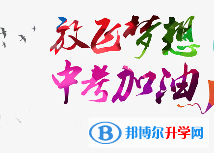 宜賓2022年怎樣查詢中考成績