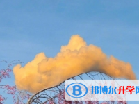 宜賓2022年中考考生人數