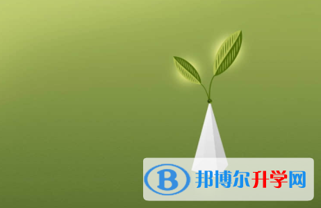 廣安2022年怎樣從網(wǎng)上查詢中考成績