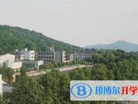 浙江大學(xué)附屬中學(xué)2025年招生簡(jiǎn)章