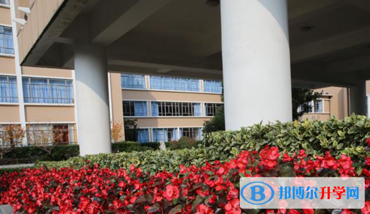 向明中學2023年招生錄取分數線 